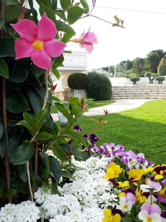 Villa Natia มอตโตลา ภายนอก รูปภาพ